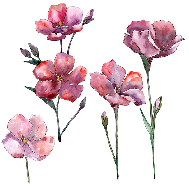 Wildflower pink flax. Floral botanical flower. Isolated illustration element. Aquarelle wildflower for background, texture, wrapper pattern, frame or border. - Fotoğraf, Görsel