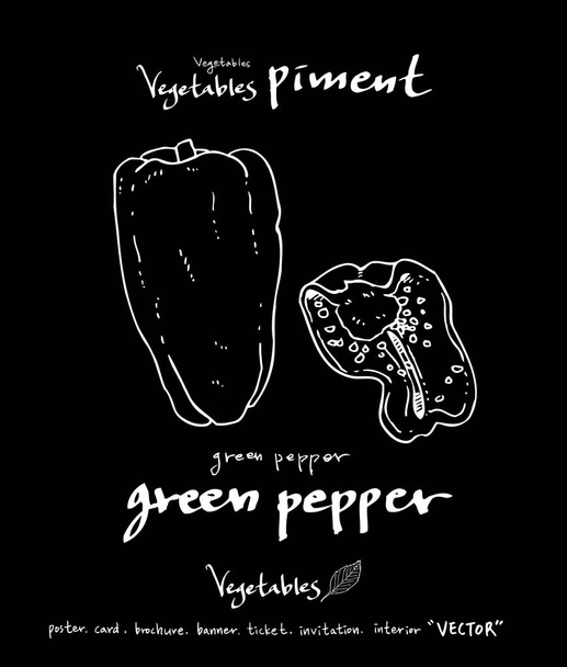 Vegetable and fruit illustrations / Hand drawn food ingredients - vector - Vektör, Görsel
