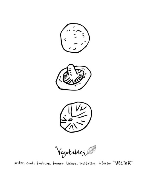Vegetable and fruit illustrations / Hand drawn food ingredients - vector - Vektori, kuva