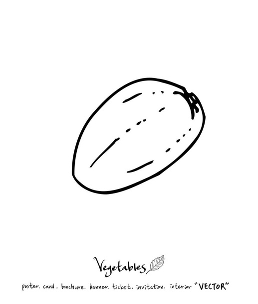 Vegetable and fruit illustrations / Hand drawn food ingredients - vector - Vektor, kép