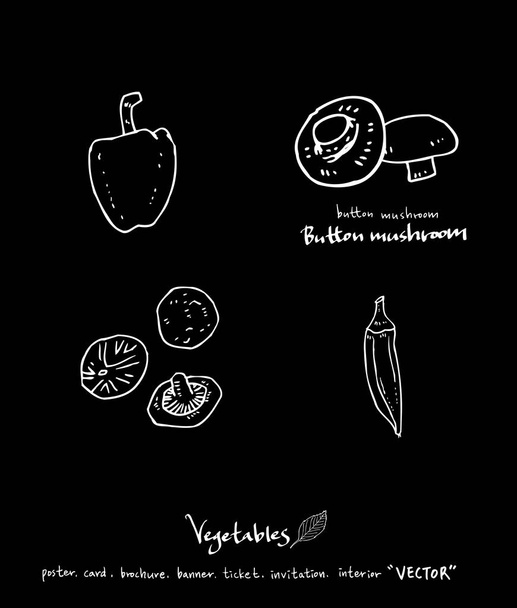 Vegetable and fruit illustrations / Hand drawn food ingredients - vector - Vecteur, image
