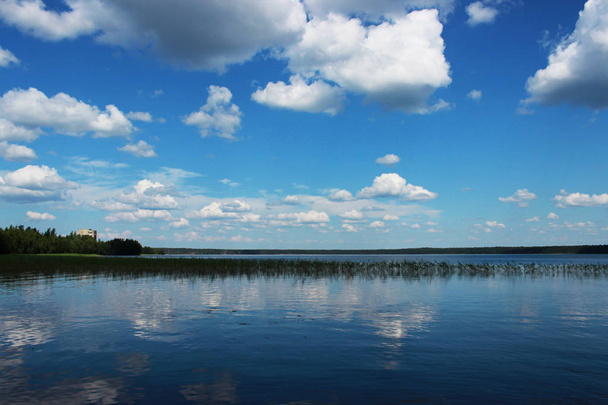 Lake Vysokinskoye in the summer, with the reflection of white clouds in the water. Leningrad Region, Russia - Фото, изображение