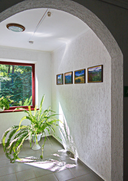 Váza s zelené dlouhé květy, stojící uvnitř na podlaze dlaždice vedle bílé zdi s obrazy a překrásný výhled oknem. - Fotografie, Obrázek