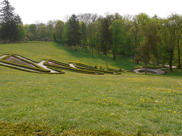 на зеленых склонах парка с растущими ромашками расположен прекрасный вид на декоративную фигуру кустов
 - Фото, изображение