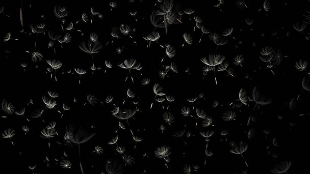 The 3d rendering of macro photo of a dandelion on black background - Фото, изображение