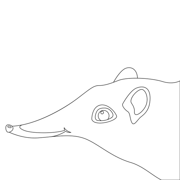 巨大な象トガリネズミ動物のベクトル図ライニング  - ベクター画像