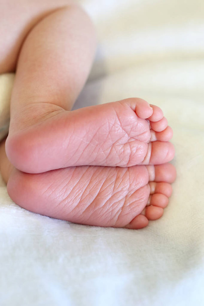 feet of a sleeping newborn baby close-up - Photo, Image
