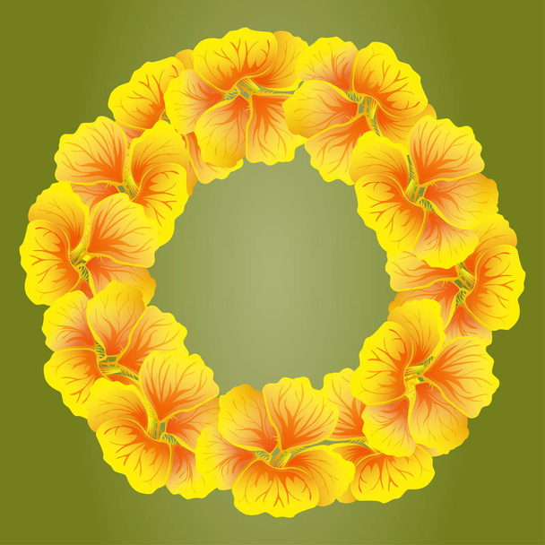 Bright Nasturtium wreath. Wild Yellow flowers. Beautiful Floral circle isolated on green background. Vector illustration. Card template for greeting, invitation and other design. Decorative round frame - Vector, Imagen