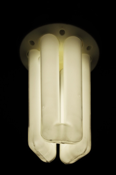 Compact fluorescent light bulb - Photo, Image