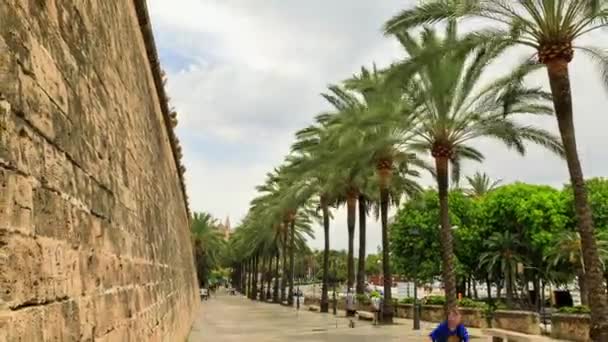 Aika kuluu: Ihmisten liikkuminen Palma de Mallorcan kadulla Espanjassa
 - Materiaali, video