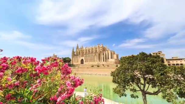 Časová prodleva: katedrála La Seu, Mallorca, Španělsko - Záběry, video