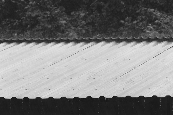 rain drops on the metal roof on a summer day, black and white photo - Photo, Image