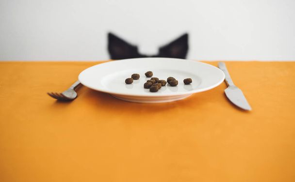 Oreilles de chien derrière la table. Sur la table est une assiette avec de la nourriture pour chien (Granule sec
). - Photo, image