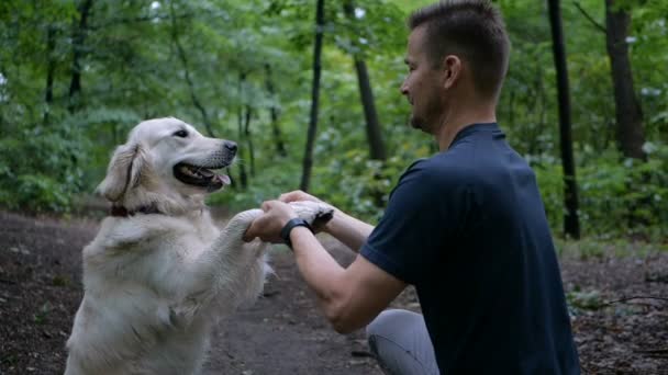 4 k Slow-motion. Hond trainingsconcept. Een man is spelen en opleiding van een Golden retriever hond buiten in het park. - Video
