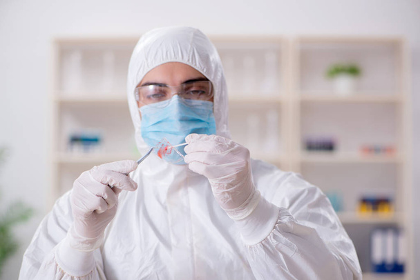 Expert criminologist working in the lab for evidence - 写真・画像