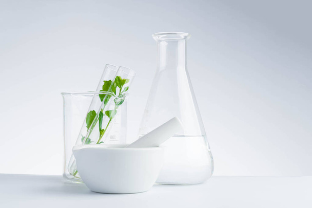 herbal medicine natural organic and scientific glassware research - Fotografie, Obrázek