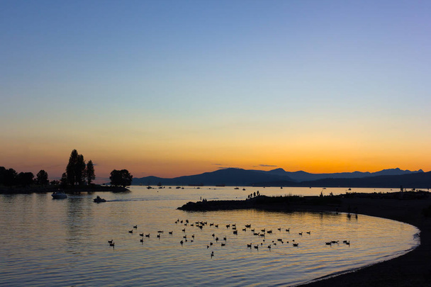Sunset over English Bay in Vancouver BC, Canada. Flock of birds in the water at quiet sunset over the mountain ridges.   - Zdjęcie, obraz