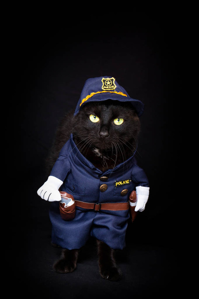 Gato negro vestido como un oficial de policía sobre un fondo oscuro
 - Foto, imagen