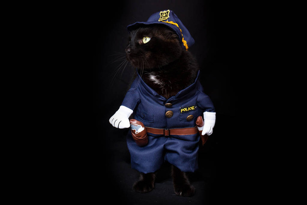 Gato negro vestido como un oficial de policía sobre un fondo oscuro
 - Foto, imagen