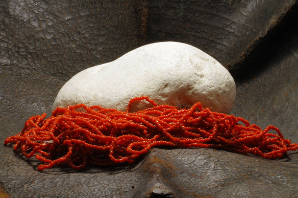 Ένα μαργαριτάρι τοποθετούνται σε πέτρα - Φωτογραφία, εικόνα