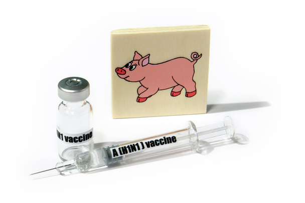 Свині FLU H1N1 хвороби
 - Фото, зображення