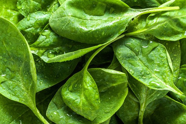 Fresh green spinach, background with leaves, vegetable diet and vegetarian food concept - 写真・画像
