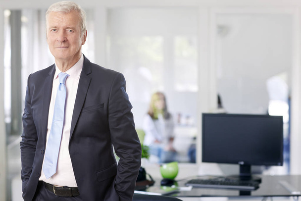 A senior managing director businessman standing at the office while looking at camera and smiling. - Fotografie, Obrázek