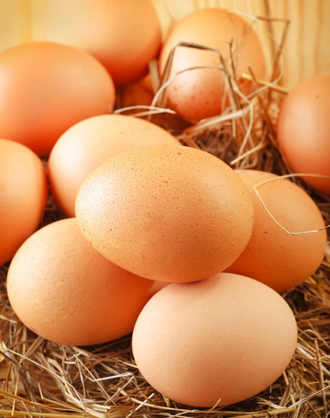 Raw eggs - Фото, зображення