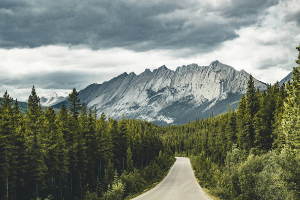Scenic view of Icefields Parkway and Cirrus Mountain in Banff National Park. It travels through Banff and Jasper National Parks and offers spectacular views of the Rocky mountains. - Foto, Imagen