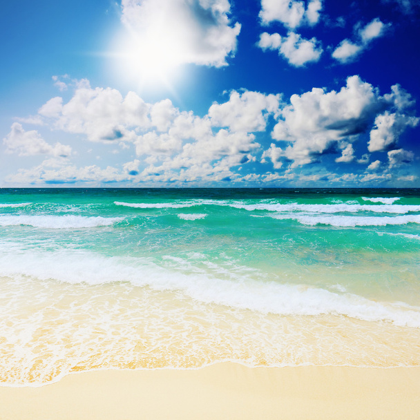 Sunny tropical beach on the island - Foto, imagen