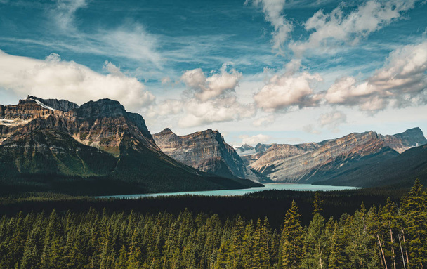 Panorama Mountain View over Hector Lake, Bannf National Park - 写真・画像
