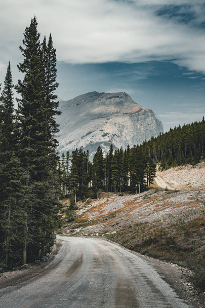 Uitzicht op straat snelweg met bergen en bomen met blauwe lucht en de wolken. Nationaal Park Banff Canada Rocky Mountains. - Foto, afbeelding