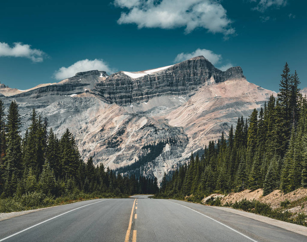 Empty Icefields Parkway Street with Mountain Panorama in Banff National Park. - Foto, afbeelding