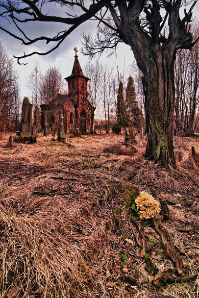 oude begraafplaats vernietigd - Foto, afbeelding