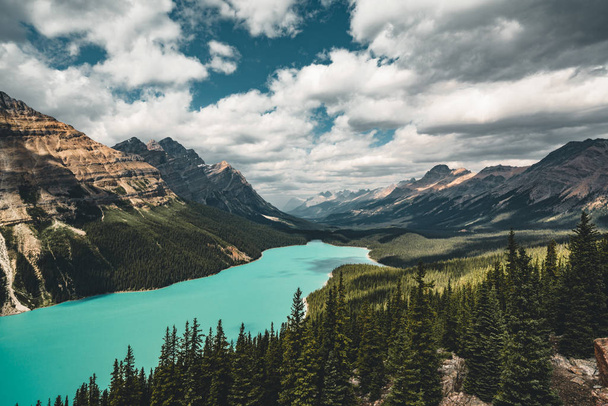 カナダのバンフ国立公園ペイトー湖の景色 - 写真・画像