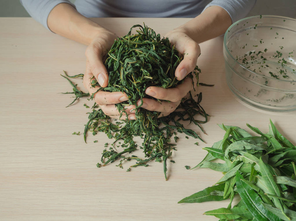 茶葉の発酵プロセス。マニュアル制作 Koporye 茶 - イワン茶. - 写真・画像