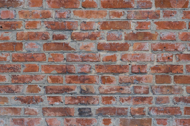 Empty red brick wall textured background. Close-up - Photo, Image