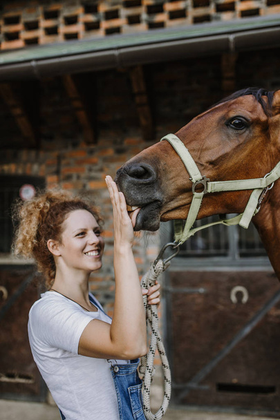 Young woman taking care of her beautiful horse. - Foto, afbeelding