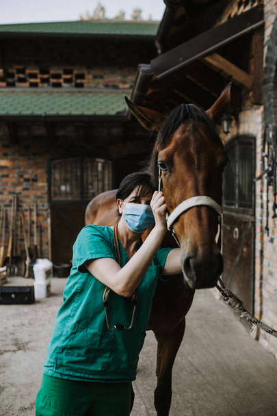 Woman veterinary checking horse health in stable - Fotoğraf, Görsel