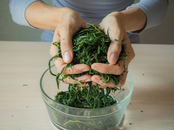 Proceso de fermentación de las hojas de té. Producción manual Koporye Tea - Ivan tea
. - Foto, imagen