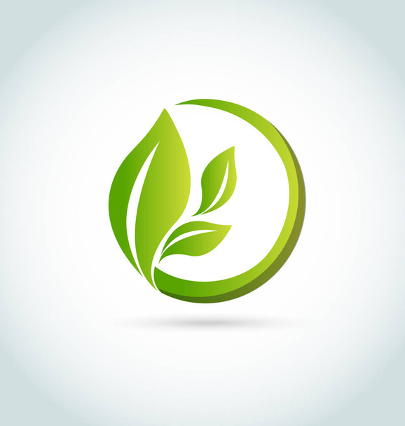 Green organic leafs icon - Vector, imagen