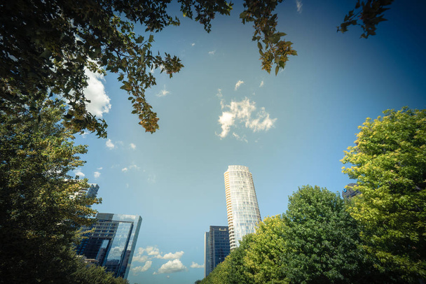 Mooie groene stadspark in het centrum van Dallas in zonnige dag. Lage hoek weergave boom weelderige luifel met moderne gebouwen in de achtergrond wolk blauwe hemel. Openbare recreatie en outdoor activiteiten concept - Foto, afbeelding
