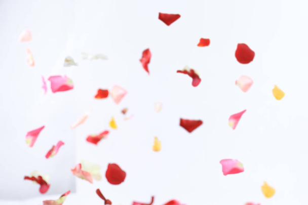 wazig beeld van roze bloemblaadjes op witte achtergrond.foto met plaats voor tekst - Foto, afbeelding