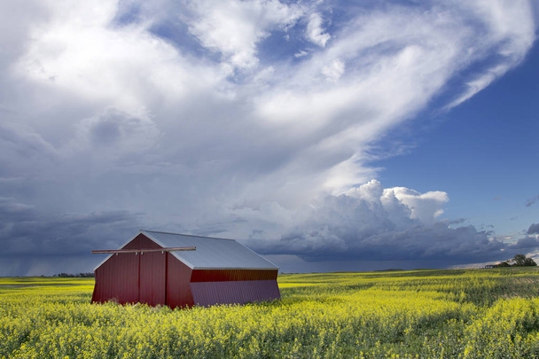 Çayır fırtına bulutları Saskatchewan Kanada kırsal ortamda - Fotoğraf, Görsel