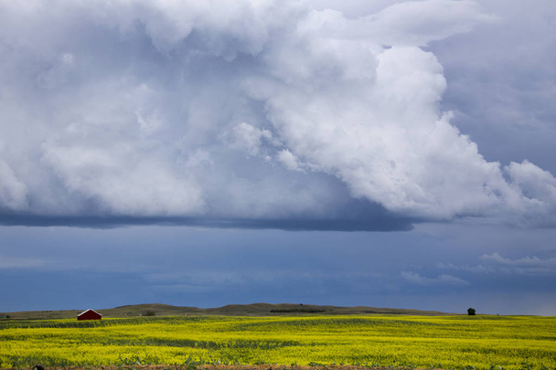 Çayır fırtına bulutları Saskatchewan Kanada kırsal ortamda - Fotoğraf, Görsel