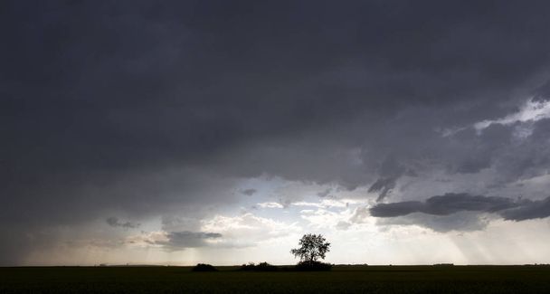 Σύννεφα καταιγίδας λιβαδιών σε αγροτικό περιβάλλον Σασκατσουάν και Καναδάς - Φωτογραφία, εικόνα