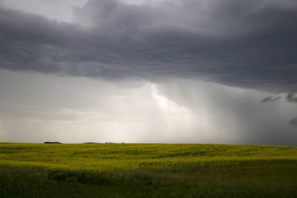 Chmury burzowe Prairie w wiejskim otoczeniu Saskatchewan Kanada - Zdjęcie, obraz
