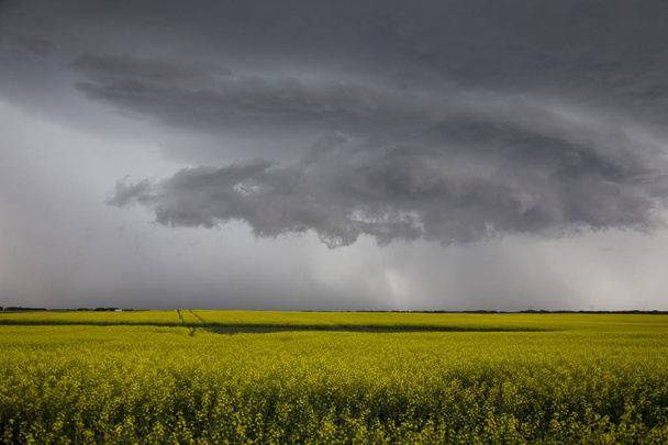 Σύννεφα καταιγίδας λιβαδιών σε αγροτικό περιβάλλον Σασκατσουάν και Καναδάς - Φωτογραφία, εικόνα