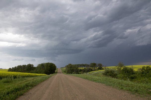 Nuvens de tempestade de pradaria em Saskatchewan Canadá cenário rural
 - Foto, Imagem