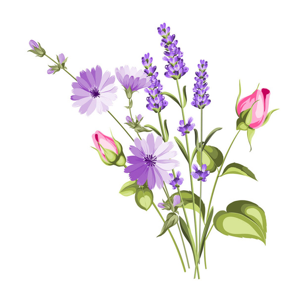 The chicory garland elegant card. - Vector, Image